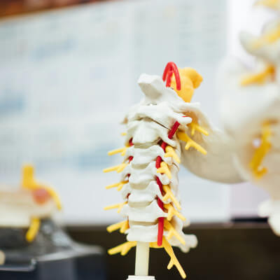 Spinal Cord Injury